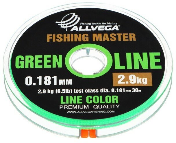 Леска монофильная ALLVEGA "Fishing Master" 30м 0181мм 29кг зеленая 9335957