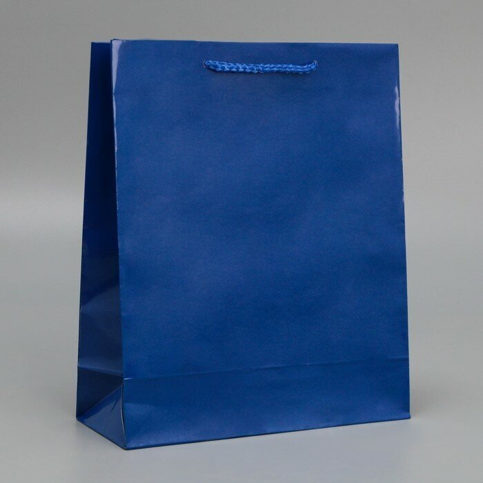 Пакет подарочный ламинированный, упаковка, «Синий», ML 21 х 25 х 8 см