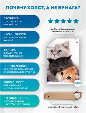 Janar litter box 2025