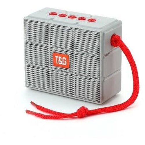 Колонка T G 311 серый 154200₽