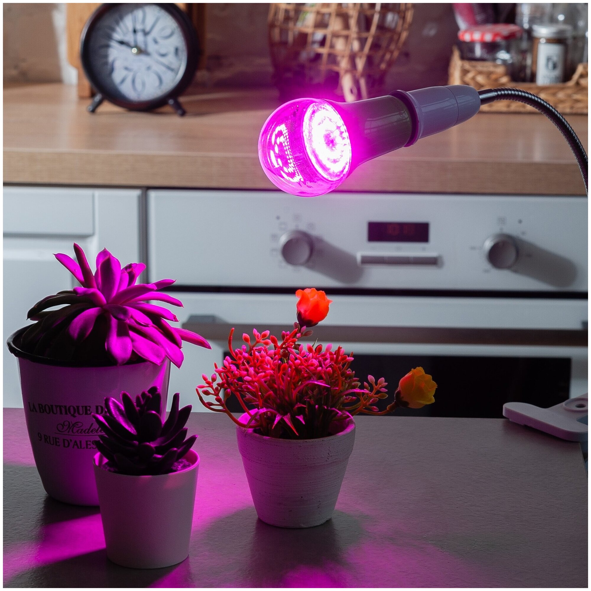 ФитоЛето Uniel лампа светодиодная для рассады и растений LED - А60 - 8W/SPSB/E27/CL Е27 8W 11мкм/с прозрачная 60х110 - фотография № 3