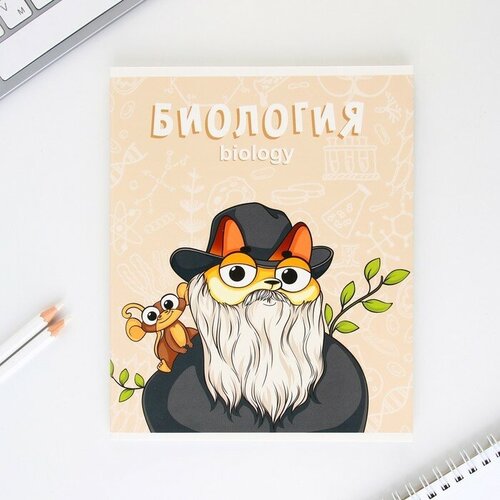ArtFox STUDY Предметная тетрадь, 48 листов КОТ, блок №1, со справ. мат. 