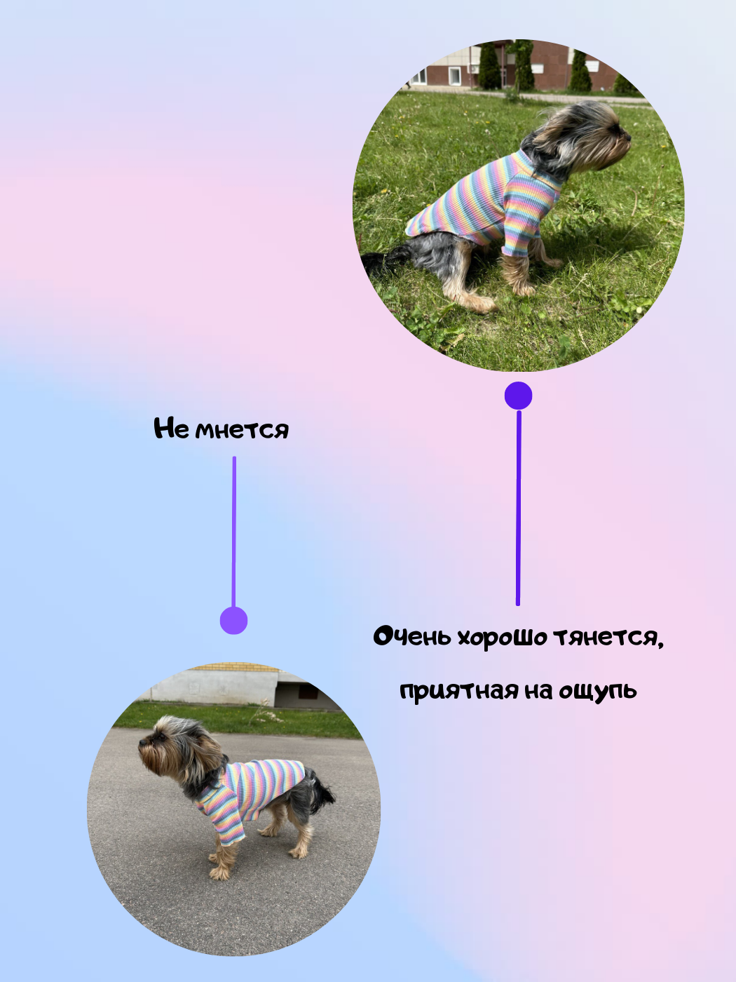 Тонкая водолазка для собак и кошек мелких и средних пород - фотография № 2