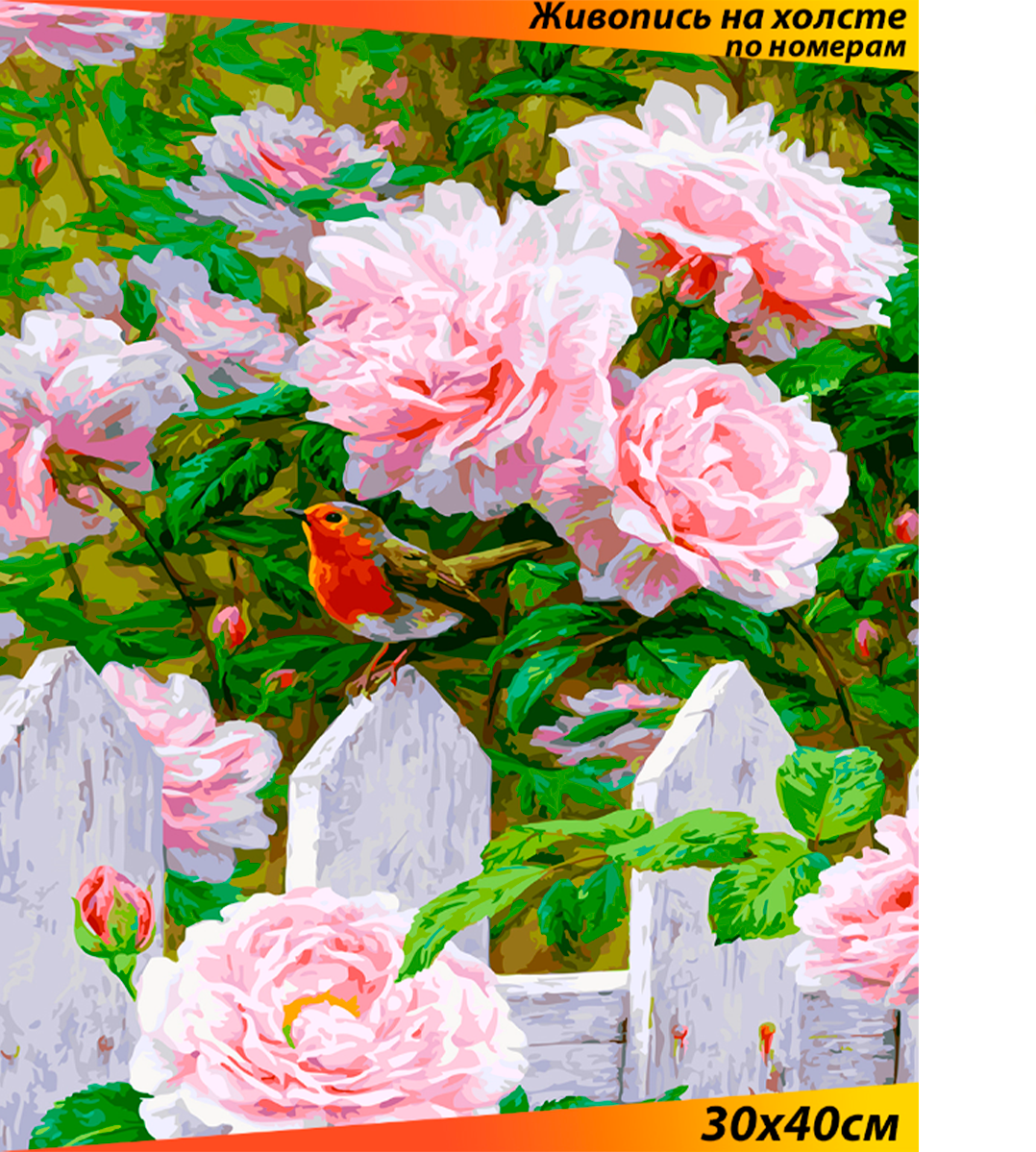 Картина по номерам Белоснежка "Птичка на заборе" / Раскраска / Холст на подрамнике 30х40 см. / Цветы / Натюрморт