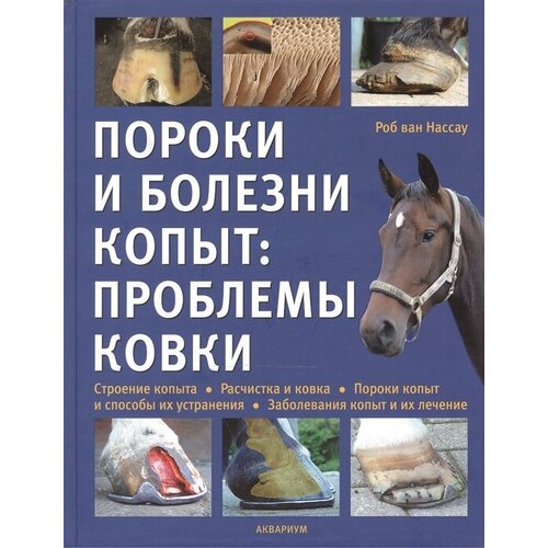 Пороки и болезни копыт: проблемы ковки. Строение копыта. Расчистка и ковка. Пороки копыт и способы их устранения. Заболевания копыт и их лечение