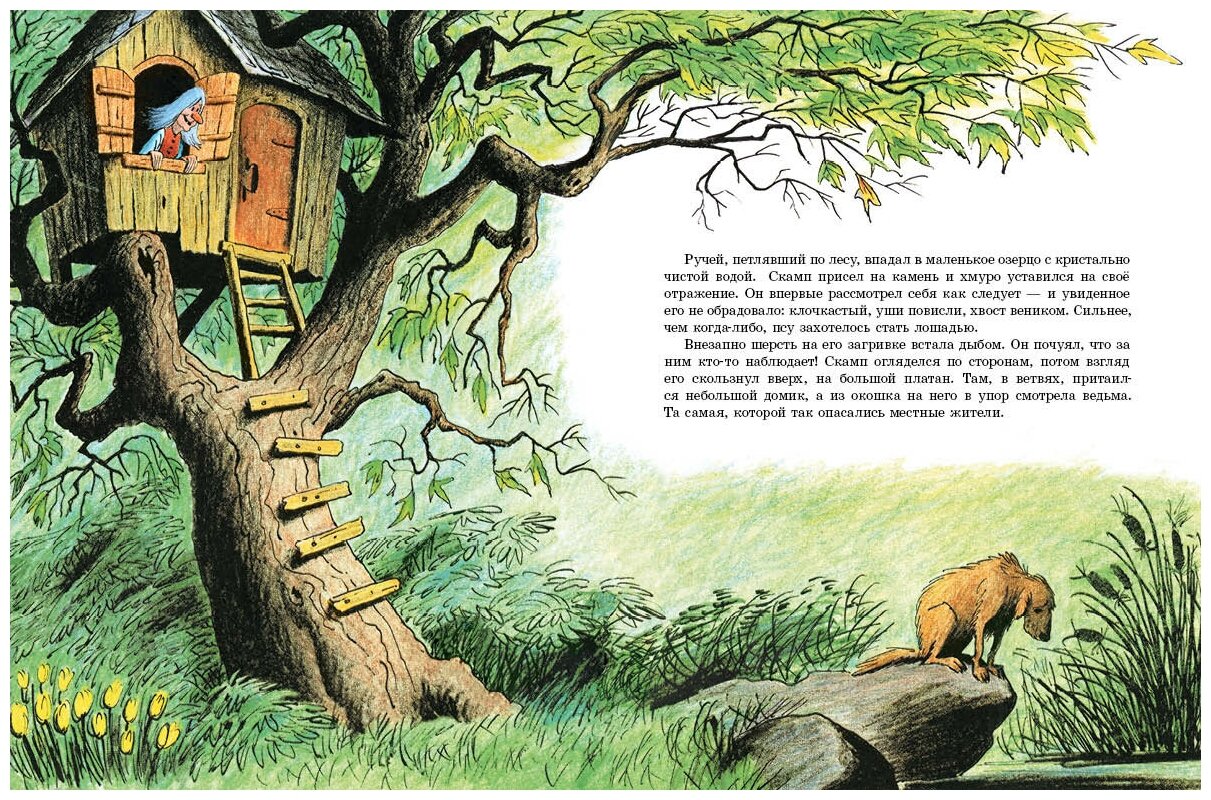 Дин-дили-дондурей (Неизвестная Е. (переводчик), Пит Билл, Пит Билл (иллюстратор)) - фото №2