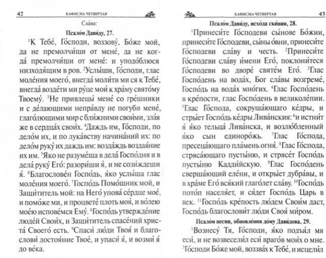 Псалтирь. Крупный шрифт (Чугунов В. (сост.)) - фото №10