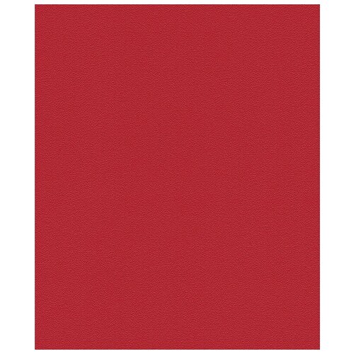 Обои виниловые на флизелине Rasch Kids Teens II 740288 053 х 1005 м 895₽