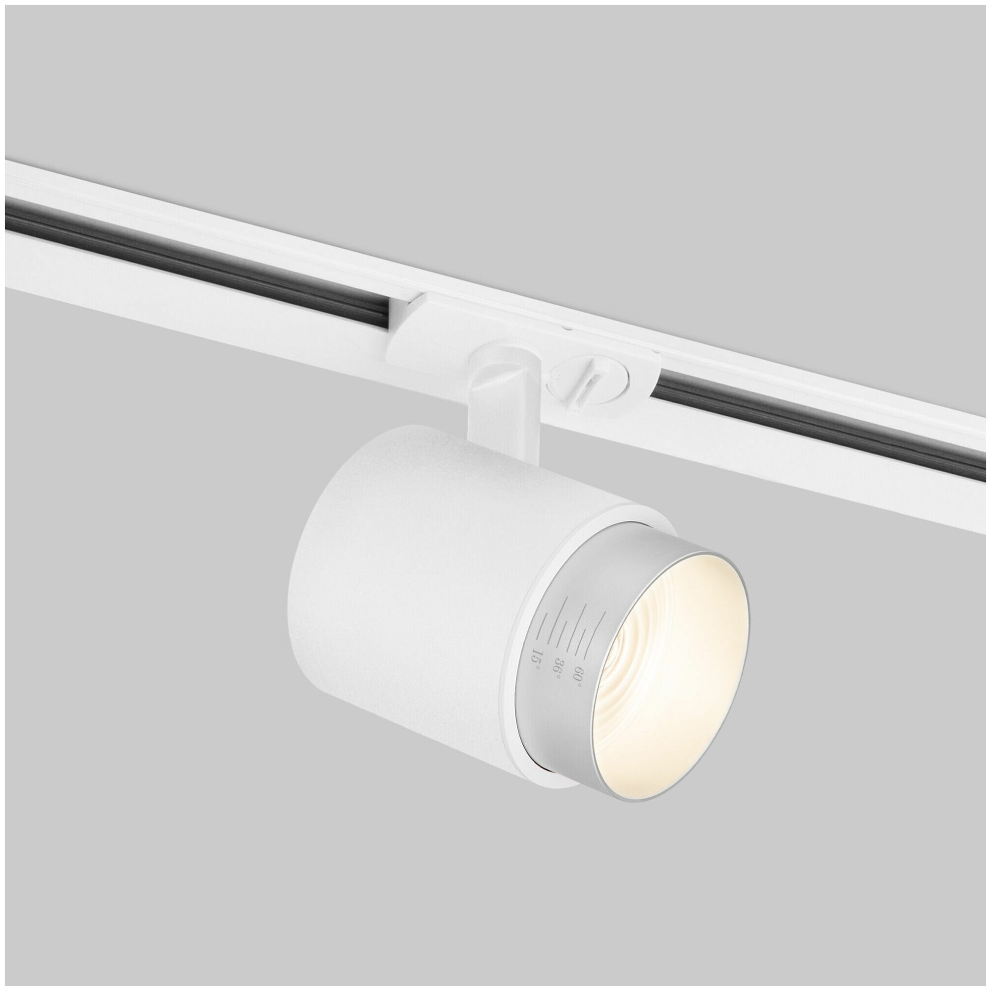 Трековый однофазный светодиодный светильник Elektrostandard Cors 85513/01, 10 Вт, 4200 K, цвет белый / серебро
