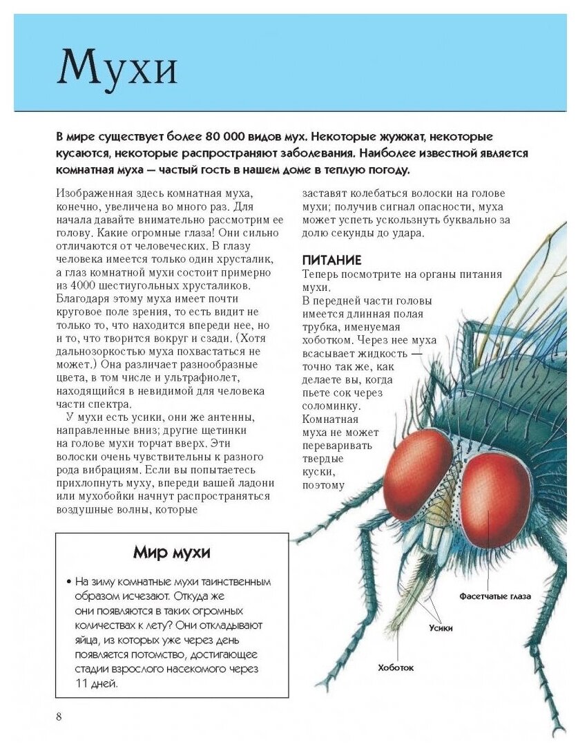 Насекомые. Полная энциклопедия - фотография № 6