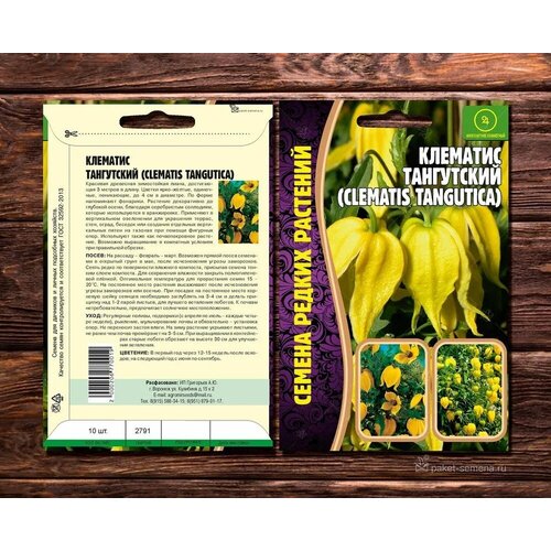 Семена редких растений. Клематис Тангутский (Clematis tangutica) 10шт.