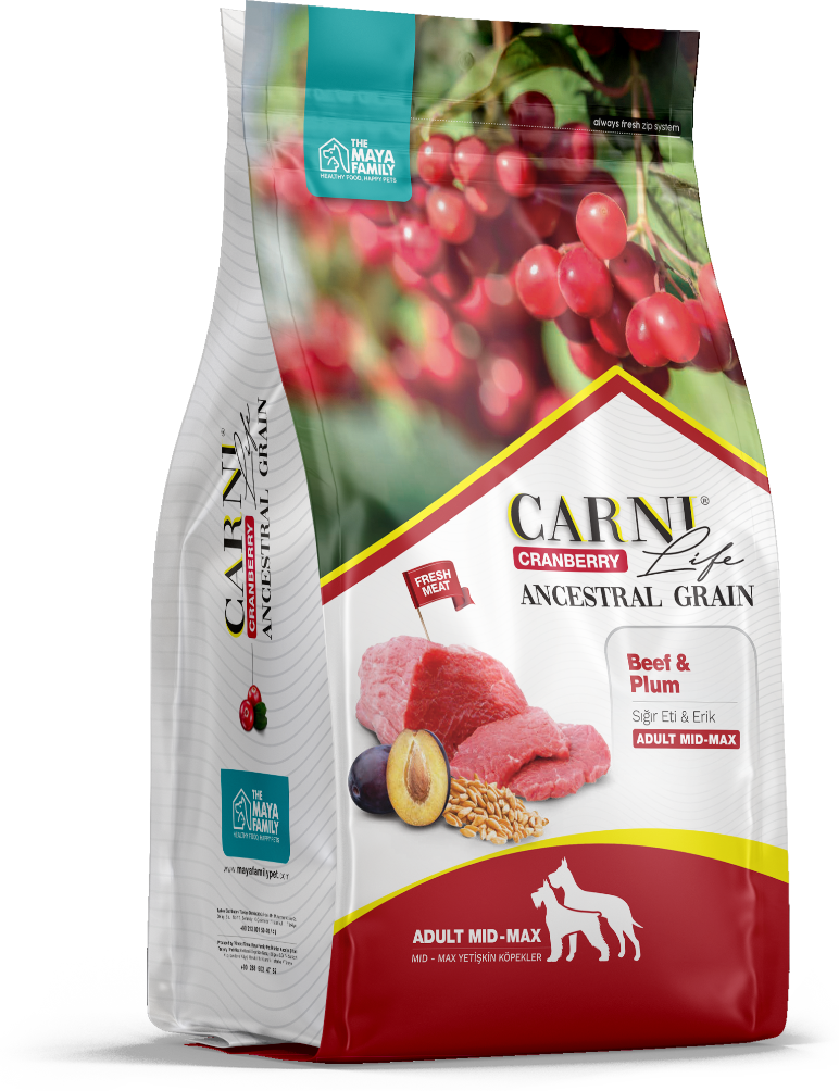 CARNI Life Medium Maxi сухой корм для собак средних и крупных пород говядина с черносливом и клюквой