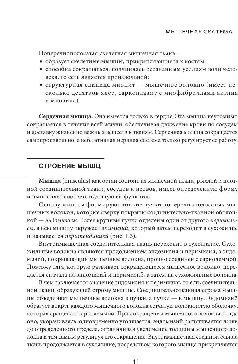 МИОФАСЦИАЛЬНЫЙ РЕЛИЗ. Эффективные методики растяжения мышц и фасций для предупреждения травм и избавления от хронических болей - фото №13