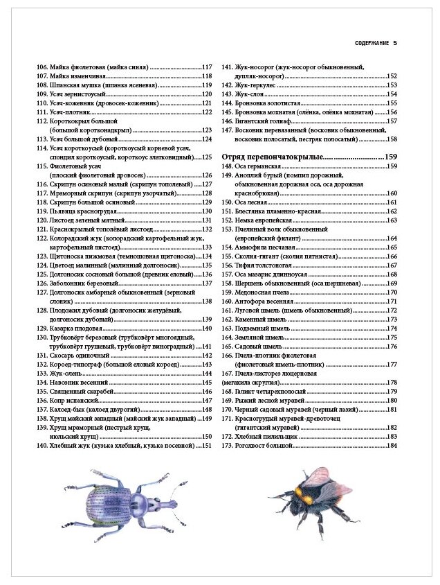 Насекомые. Иллюстрированная энциклопедия начинающего энтомолога. 240 популярных видов - фото №17