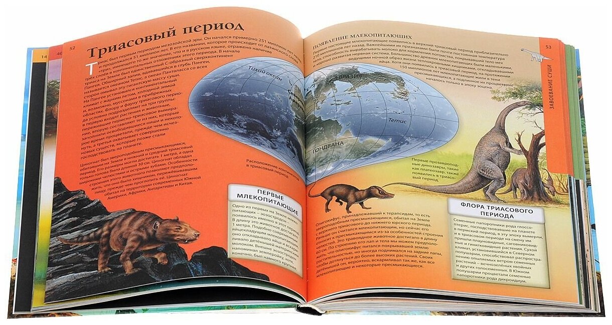 Детская энциклопедия динозавров - фото №4