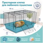 Клетка для грызунов (для кроликов, для морских свинок) PetTails, №2 складная, шаг прута 18мм - изображение