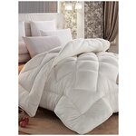 Одеяло Ивановский текстиль Пушистое, теплое, 300г, белое - изображение