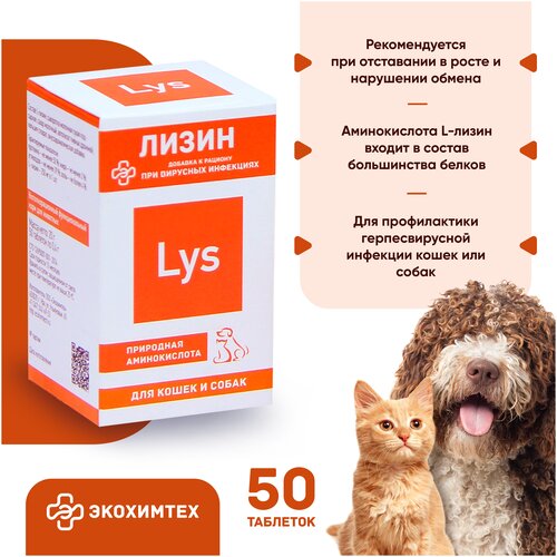 L-lysine против вирусов для кошек и собак Лизин 50 таблеток