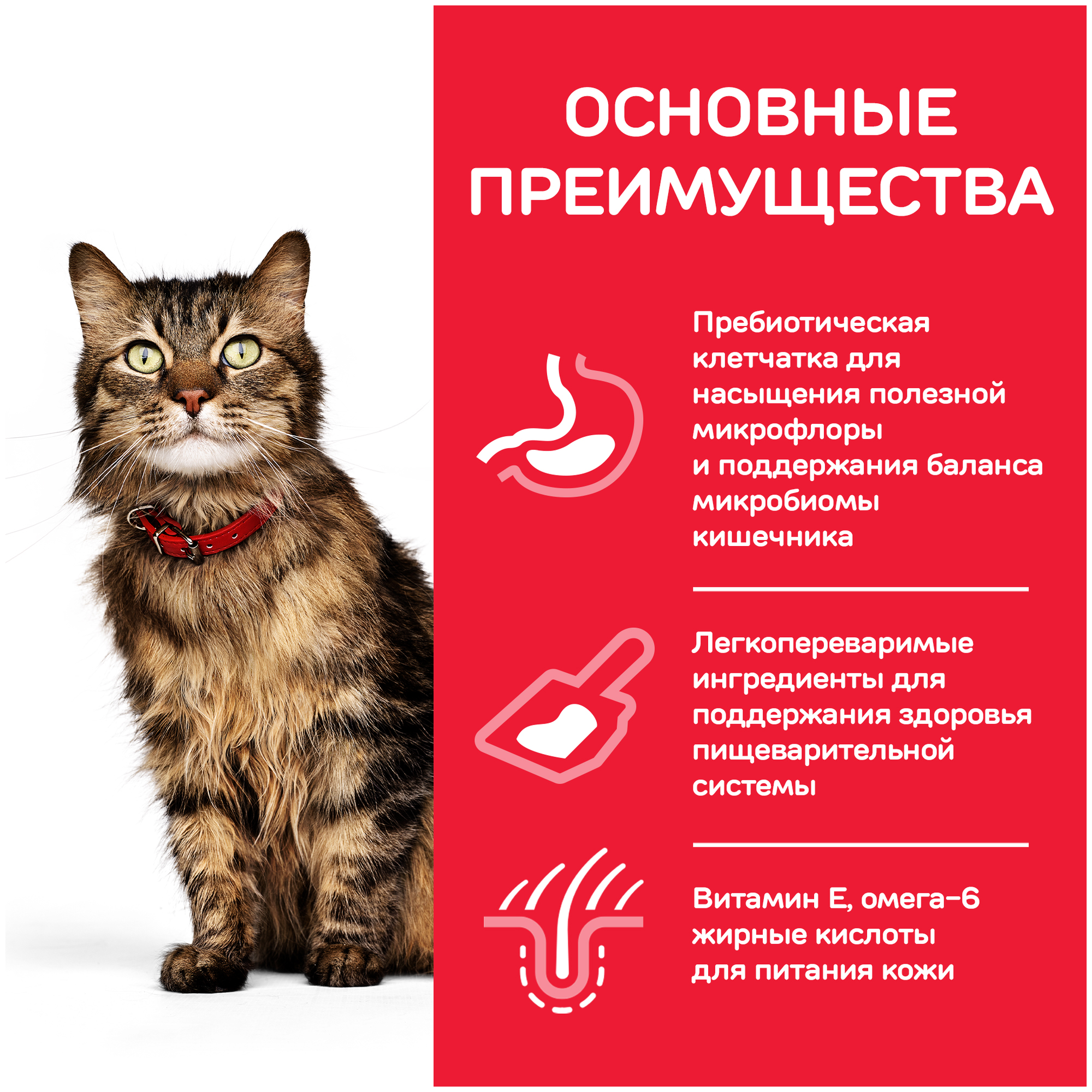 Корм сухой HILL`S "Science Plan Sensitive Stomach & Skin Adult" для кошек с чувствительным желудком и кожей 1.5 кг - фотография № 4