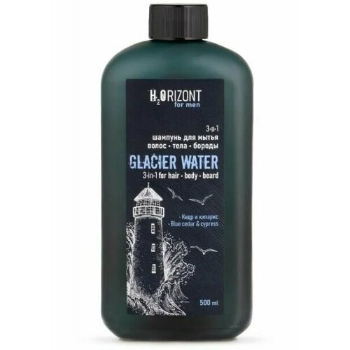 H2ORIZONT Шампунь для мытья волос, тела и бороды для мужчин, 500мл