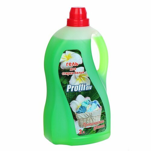 Гель для стирки Proffidiv 