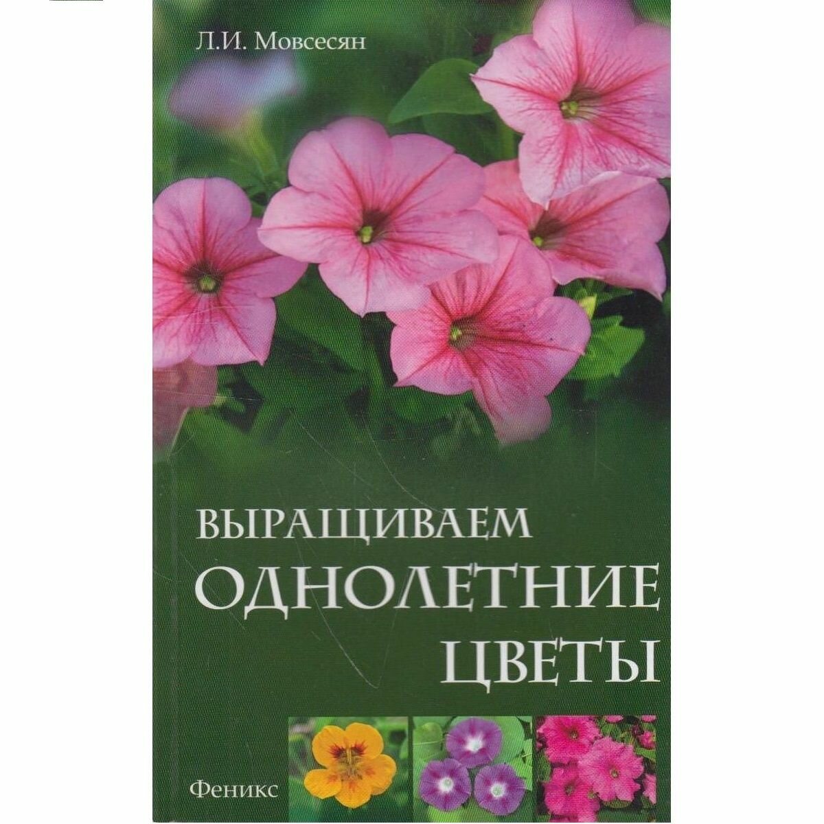 Выращиваем однолетние цветы