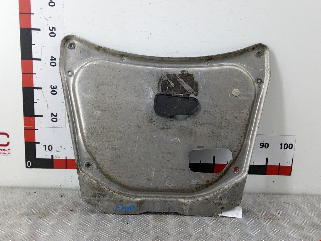 Защита двигателя BMW X5 (E53) 31101095656 арт. 1729187