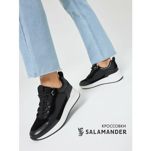 SALAMANDER 058-1273B-2102