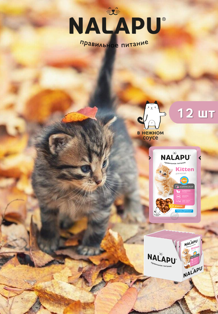 Корм для котят влажный NALAPU Kitten полнорационный консервированный корм для котят, сочные кусочки с ягненком в нежном соусе,12шт. по 77г