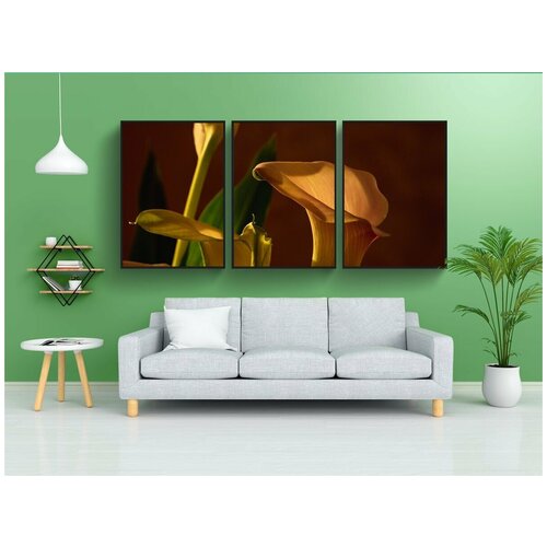 фото Набор модулных постеров для интерьера "цветы, каллы, блум" 60x90 см. в тубусе, без рамки lotsprints