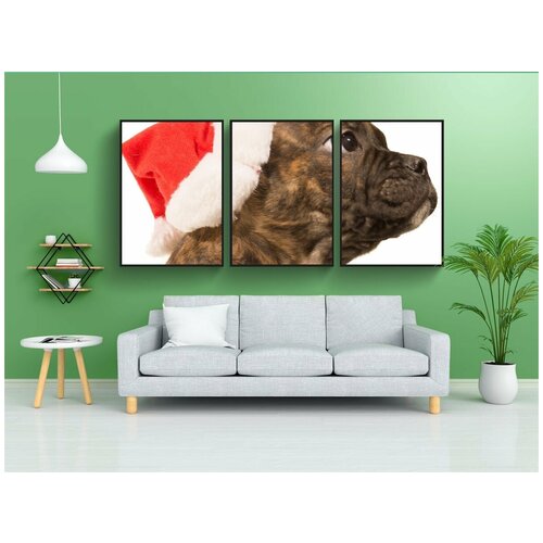 фото Набор модулных постеров для интерьера "бульдог, щенок, рождество" 60x90 см. в тубусе, без рамки lotsprints