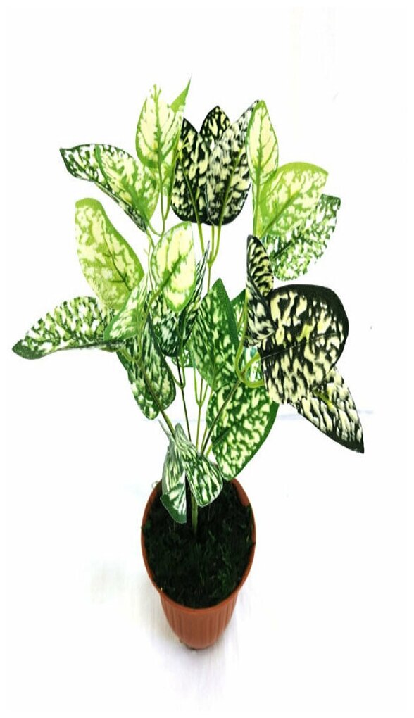 Искусственная Фиттония / Искусственное растение для декора / декор для дома