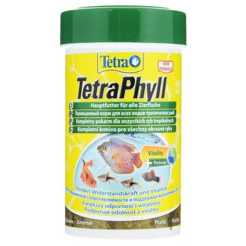 Корм для травоядных рыб Tetra Phyll Granules 250 мл, гранулы (2 шт) корм для рыб tetra betta в виде гранул 5г