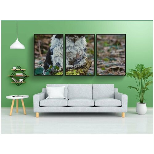 фото Набор модулных постеров для интерьера "бишон, собака, луг" 60x90 см. в тубусе, без рамки lotsprints