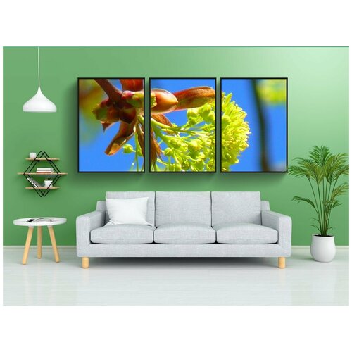 фото Набор модулных постеров для интерьера "клен, цвести кленовый цвет, весна" 60x90 см. в тубусе, без рамки lotsprints