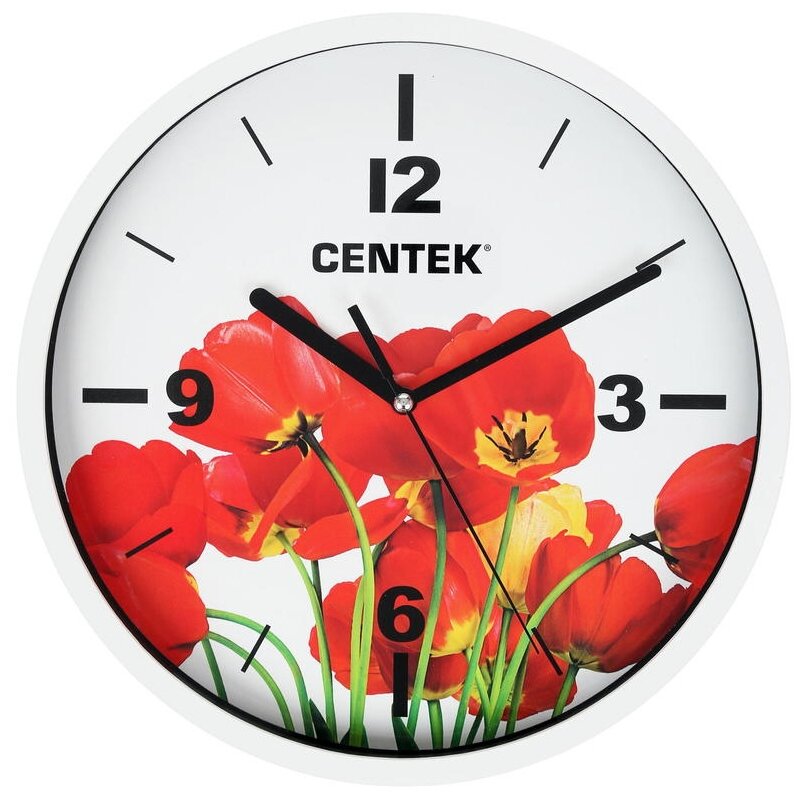 Часы настенные CENTEK CT-7102 Tulips 1188118