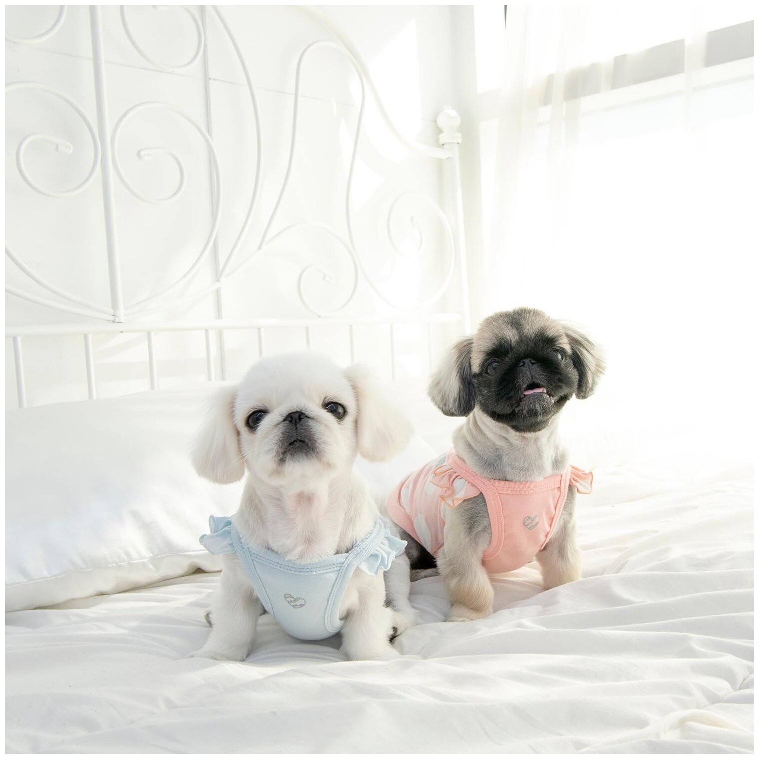 Майка для собак PINKAHOLIC "Tess", розовая, L (Южная Корея) - фотография № 10