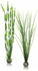 Набор "Высокие, зеленые растения" Easy plant set tall green