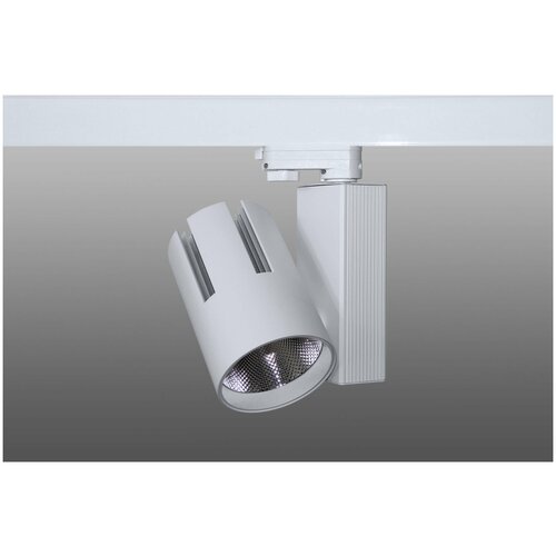 ShopLEDs Трековый светодиодный светильник DT-205 (40W, 4100K, трехфазный, белый корпус)