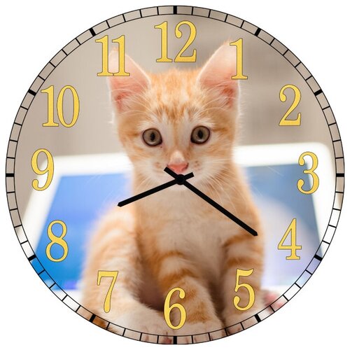 фото Svs настенные часы svs 3502034 рыжий котенок
