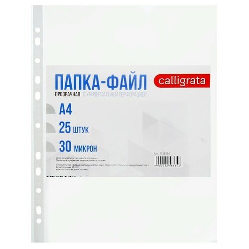 Файл-вкладыш А4, 30 мкм Calligrata, глянцевый, 25 штук