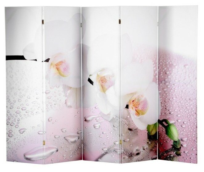 Ширма "Орхидея и капли воды", 250 × 160см