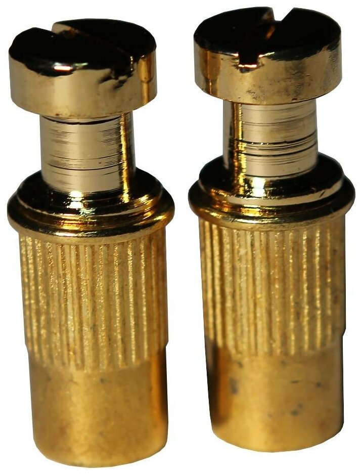 PAXPHIL TB001-GD крепление струнодержателя для электрогитары (втулка с болтом) золото