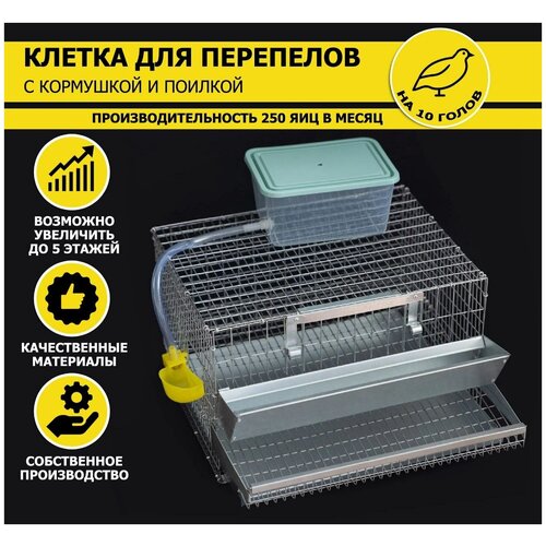Клетка FERMAMARKET для перепелов на 10 голов для дома, металлическая сетка, кормушка для птиц, автоматическая поилка, поддон