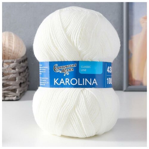 Пряжа Karolina (Каролина) 100% акрил 438м/100гр белый (179)