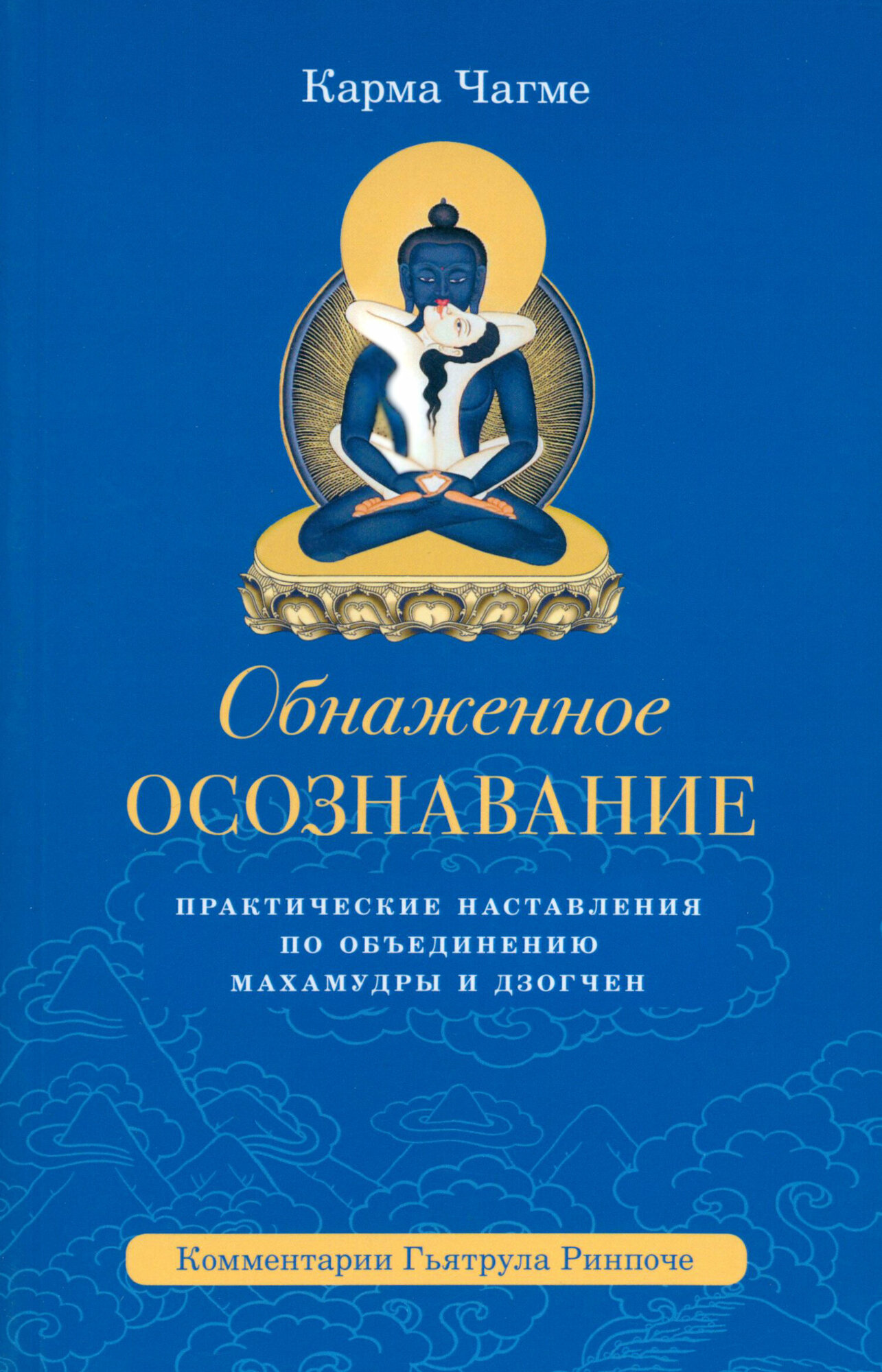 Обнаженное осознавание. Практические наставления по объединению махамудры и дзогчен - фото №9