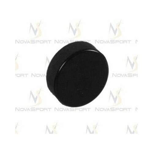 Шайба хоккейная детская 600х203 мм 480₽