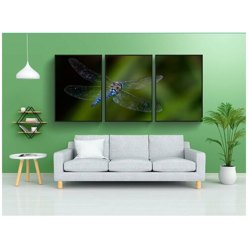 фото Набор модулных постеров для интерьера "стрекоза, летать, задний план" 60x90 см. в тубусе, без рамки lotsprints