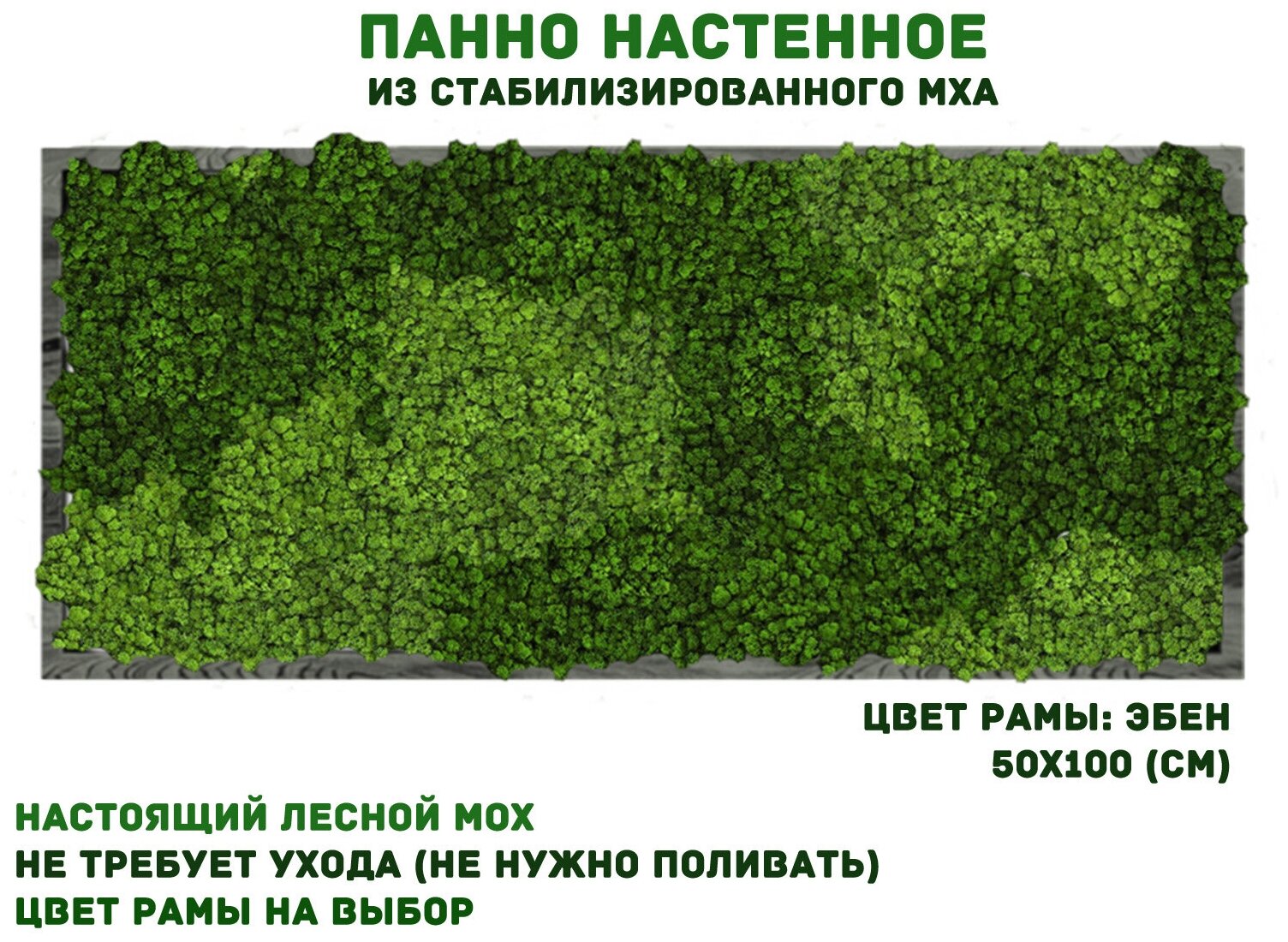 Панно из стабилизированно мха GardenGo в рамке цвета эбен, 50х100 см, цвет мха зеленый