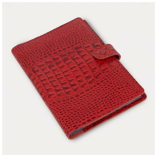 Папка для 3 комплектов семейных документов на кнопке, формат А5, цвет красный